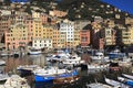 Camogli`s harbour in the fishing village of Camogli, Gulf of Paradise, Portofino National Park, Genova, Liguria, Italy Royalty Free Stock Photo