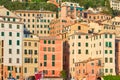 Camogli typical Italian village with colorful houses background