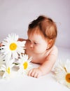 Camomile baby Royalty Free Stock Photo