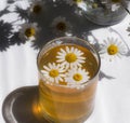 Camomile blshy, a camomile field, tea from a camomile, tea in a glass, yellow tea from a camomile in a glass