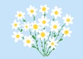 Camomile bouquet in doodle flat style isolated on soft blue background. Beautiful floral composition. Vector illustration
