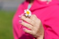 Camomile daisy flower in female hand. Royalty Free Stock Photo