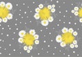 Camomile, dandelion and leaves seamless pattern on grey background. Vector illustration. Royalty Free Stock Photo