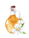 Camomile essential oil in a bottle for cosmetics,relaxing,massage. Watercolor Flower aroma oil