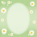Camomile Floral Frame Royalty Free Stock Photo