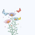 Camomile flowers and butterflies, vector