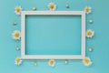 Camomile flowers with a frame on pastel background. Floral backdrop Royalty Free Stock Photo