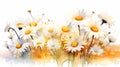 Camomile flowers. Watercolor floral background. illustration. Generative AI Royalty Free Stock Photo