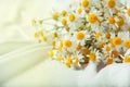 Camomile flowers on white blanket close