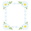 The camomile frame