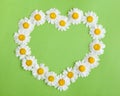 Camomile Heart on green