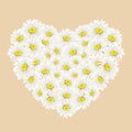 Camomile heart-shaped bouquet hand-drawn on light-biege background. Tender watercolor floral illustration of flower Royalty Free Stock Photo