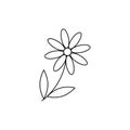 Camomile icon. daisy chamomile. Cute flower plant. Love card symbol. Growing concept. line design. white background. Isolated.
