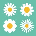 Camomile icon set. White daisy chamomile. Royalty Free Stock Photo