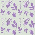 Camomile and leaves silhouette, violet pastel color, pattern. Stamp, imprint, herbarium, vintage.