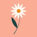 The camomile plant icon. One chamomile. Natural floral element of the design of postcards, posters, greetings. Isolated