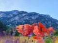 Red poppy flower in wild green field blue sky white clouds sun beam on horizon Olympus Mountain Greece nature background Royalty Free Stock Photo