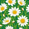 Camomile seamless background