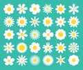 Camomile super big set. White daisy chamomile icon. Cute round flower plant nature collection. Love card symbol. Decoration