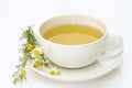 Camomile tea Royalty Free Stock Photo