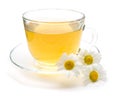 Camomile tea with chamomile flower isolated on white Royalty Free Stock Photo