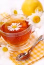 Camomile tea in glass Royalty Free Stock Photo