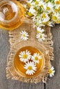 Camomile tea, teapot and flowers