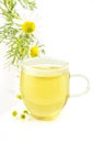 Camomile tea Royalty Free Stock Photo