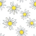 Camomile on a white background. Pattern with daisy. Print for textile, vector. Royalty Free Stock Photo