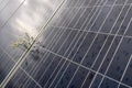 Camomille flowers growing through solar panel. Ecological friendly electricity generation. Royalty Free Stock Photo