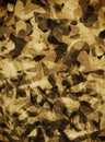 Camouflage abstract background.