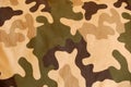 Camouflage background