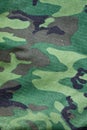 Camouflage background