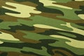 Camouflage background