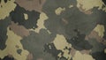 Camouflage cloth texture. Abstract background and texture for design Royalty Free Stock Photo