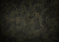 Camouflage cloth texture. Abstract background and texture for design Royalty Free Stock Photo