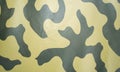 Camouflage cloth texture. Abstract background and texture for design