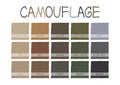 Camouflage Color Tone with Name Vector