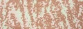 Camouflage fabric texture background, banner, closeup view