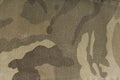 Camouflage fabric texture