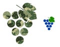 Triangulated Mosaic Grape Bunch Icon in Khaki Army Color Hues