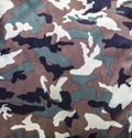 Camouflage military pattern