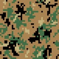 Camouflage military pixel