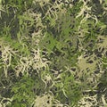 Camouflage needles plants, seamless pattern. Grunge ghillie green background