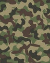 Camouflage pattern background seamless