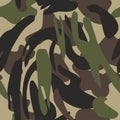 Camouflage pattern background seamless vector illustration. Clas