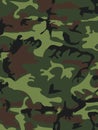 Camouflage pattern background. Woodland style. Vector illustrati