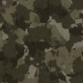 Camouflage cloth texture. Abstract background and texture for design Royalty Free Stock Photo