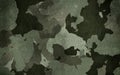 Camouflage pattern cloth texture. Background and texture for design Royalty Free Stock Photo
