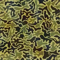 Camouflage pattern. Fashionable Millatry print. Seamless vector army green hunting background. Royalty Free Stock Photo